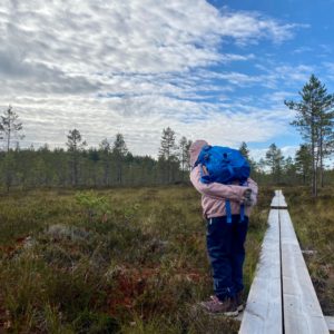 Lapsi tutkiskelee suoympäristöä pitkospuilta.