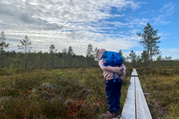 Lapsi tutkiskelee suoympäristöä pitkospuilta.