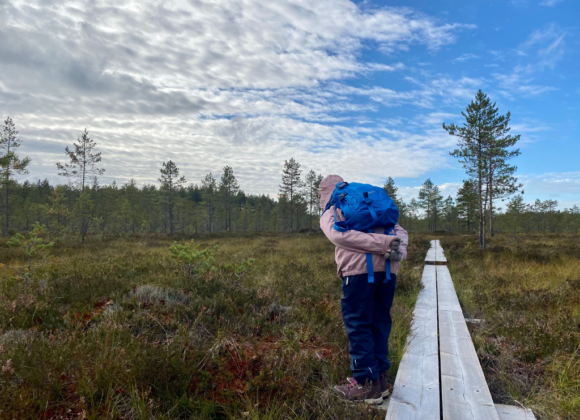 Lapsi tutkiskelee suoympäristöä pitkospuilta.