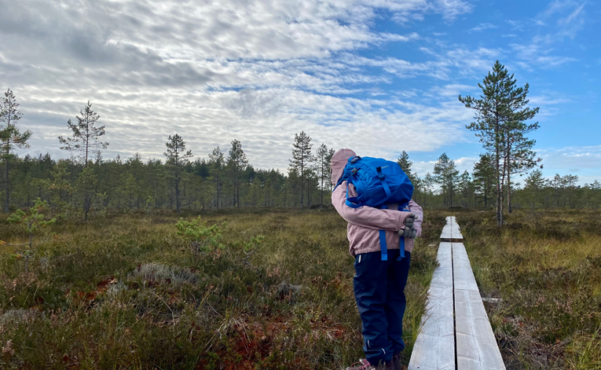 Lapsi tutkiskelee suoympäristöä pitkospuilta.