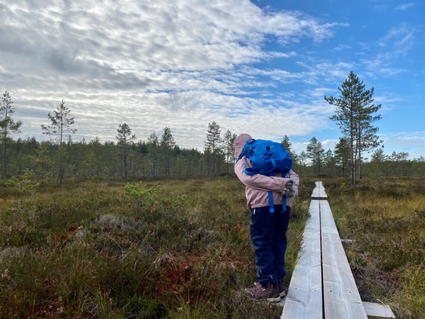 Lapsi tutkiskelee suoympäristöä pitkospuilta.